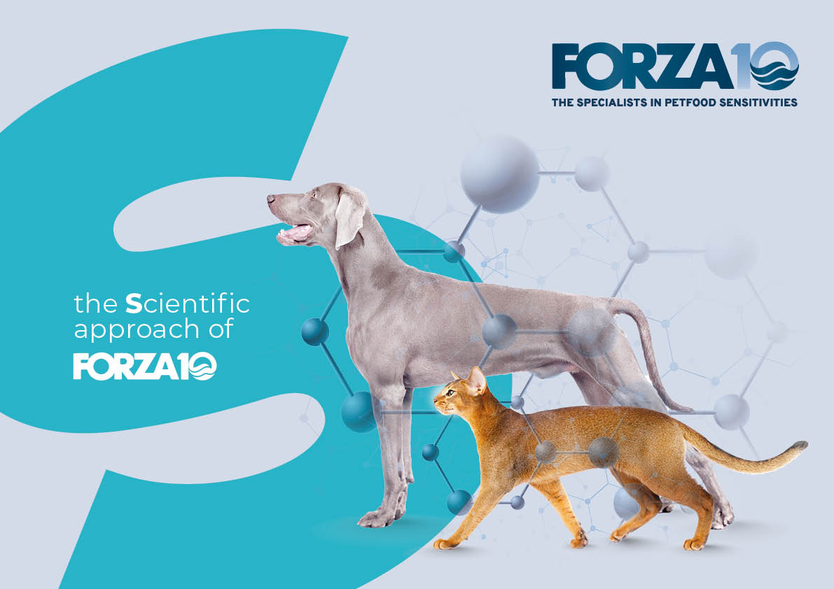 FORZA10