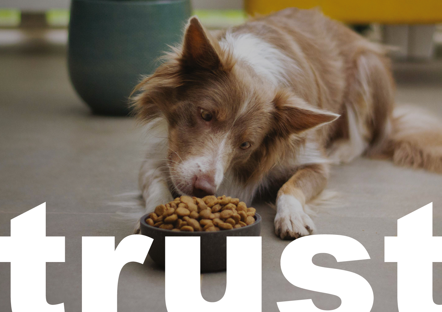 trust
